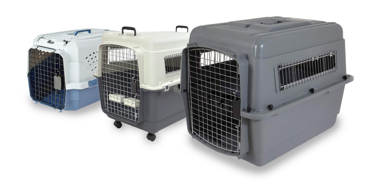 airline approved dog crate